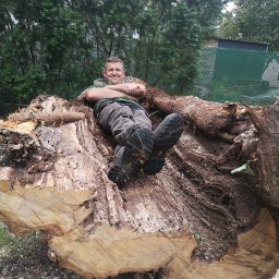 Szympek wycinka drzew - Odśnieżanie Dachów Wola Gołkowska