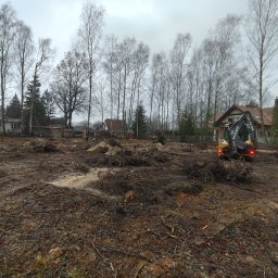 Wycinka drzew Wola Gołkowska 1