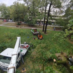 Szympek wycinka drzew - Widok z góry na teren zielony z parkiem, gdzie ekipa przy użyciu podnośnika koszowego, rębaka i ciężarówki zajmuje się usuwaniem powalonych gałęzi i pni drzew.