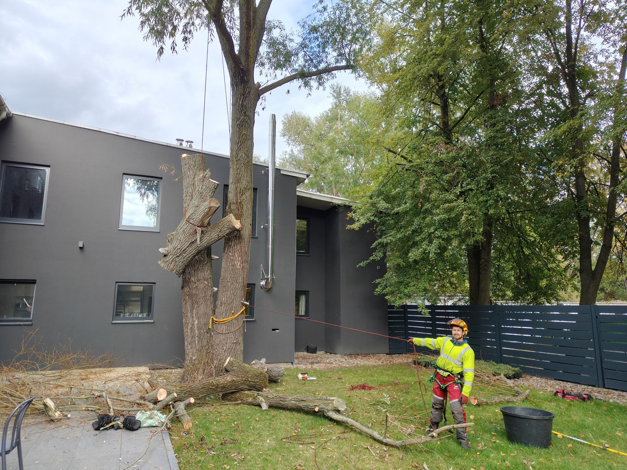 Arborysta w kasku i odzieży ochronnej, kontroluje linę podczas częściowej wycinki drzewa przy nowoczesnym domu z szarą elewacją. Na trawniku leżą odcięte gałęzie.