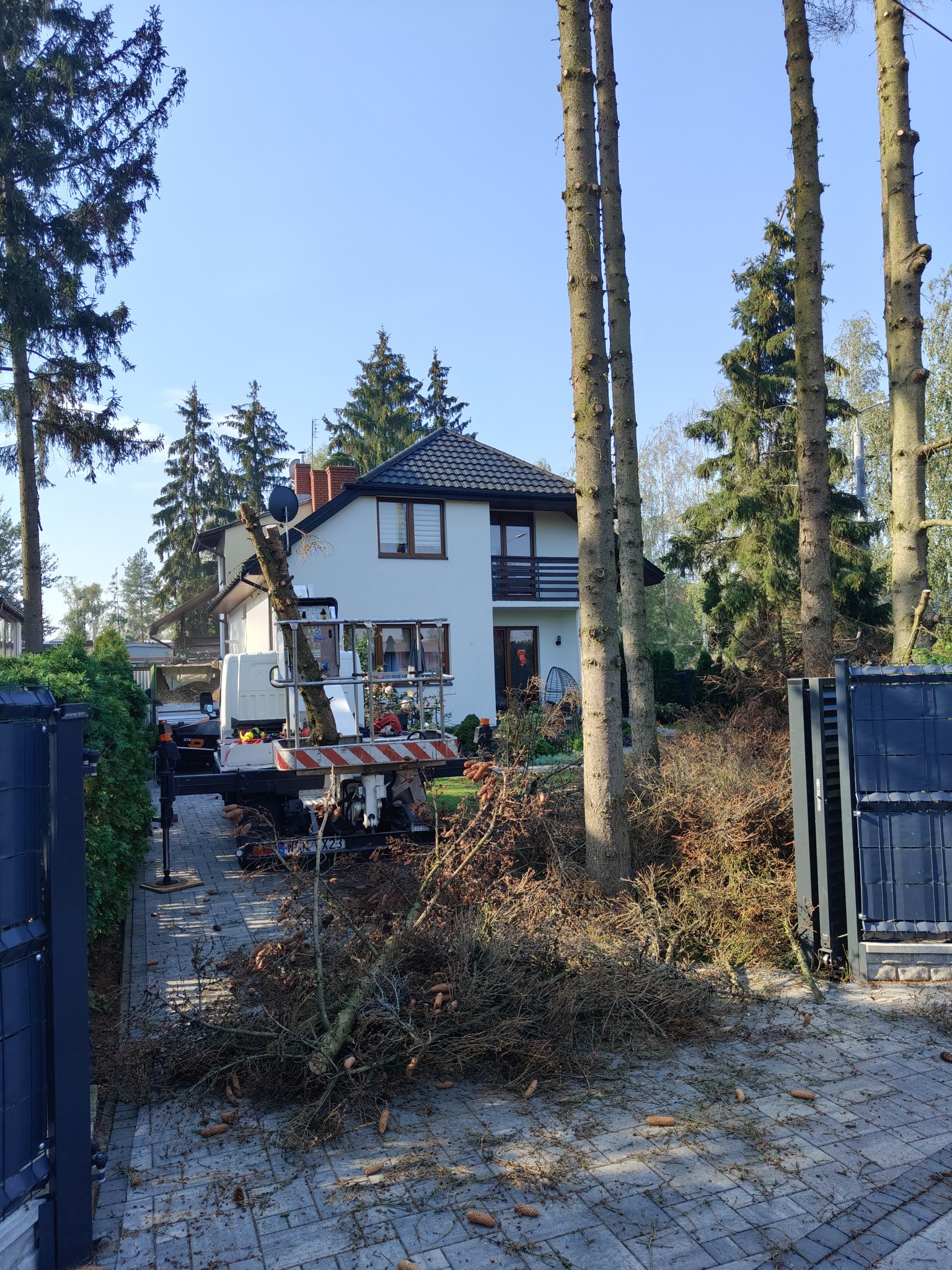 Ciężarówka z podnośnikiem koszowym przy częściowo ogołoconych z gałęzi wysokich drzewach iglastych przed domem, gałęzie leżą na chodniku i trawniku, widoczne ślady cięcia drzew.