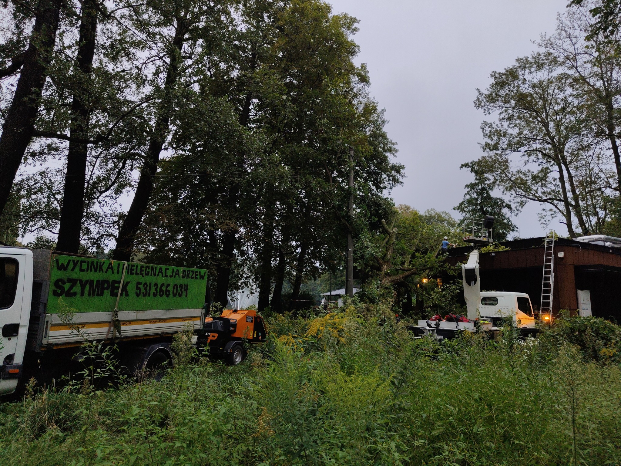 Pracownik na podnośniku koszowym przycina gałęzie drzewa, obok stoi ciężarówka z napisem 'Wycinka i pielęgnacja drzew' oraz rozdrabniacz gałęzi, w tle zieleń drzew i krzewów.