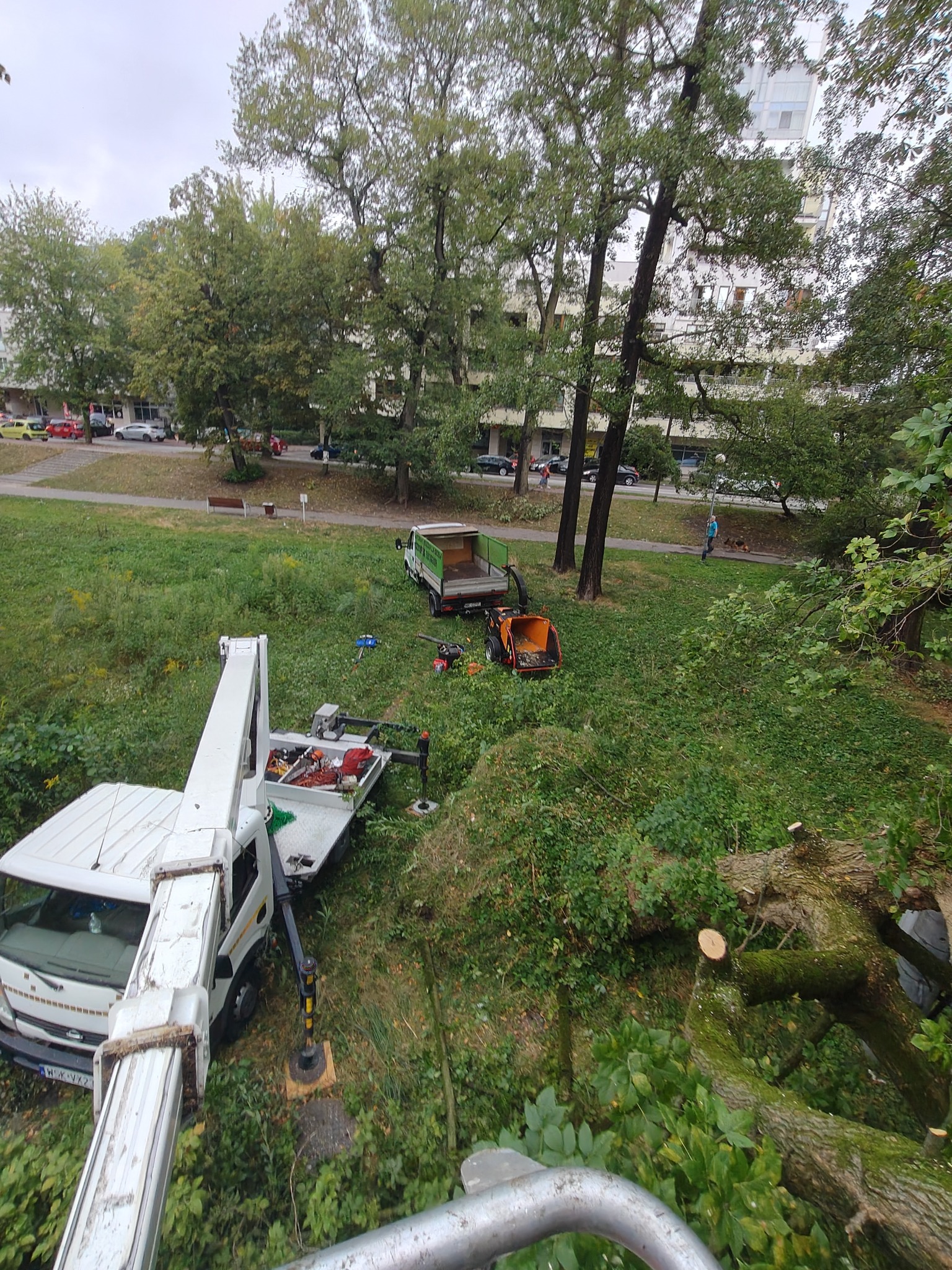 Widok z góry na teren zielony z parkiem, gdzie ekipa przy użyciu podnośnika koszowego, rębaka i ciężarówki zajmuje się usuwaniem powalonych gałęzi i pni drzew.