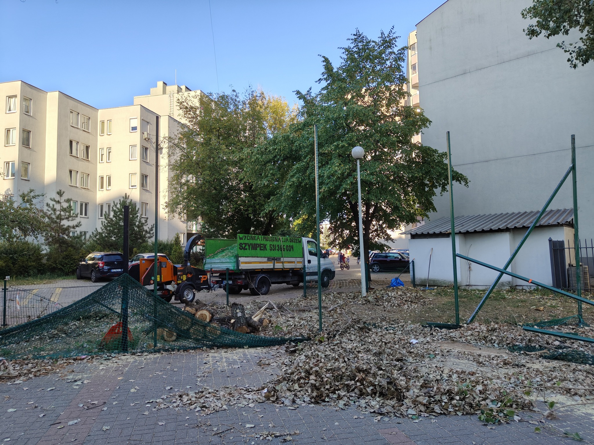 Po wycince drzew: stos liści i gałęzi na chodniku, siatka zabezpieczająca, zieleń, w tle budynki mieszkalne i samochody, widoczny samochód z napisem 'Wycinka i pielęgnacja drzew'