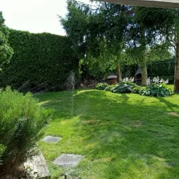 Automatyczne nawadnianie trawnika w ogrodzie, widoczne zraszacze w trakcie pracy, zielona trawa, tuje w tle, drzewa i rośliny ozdobne.