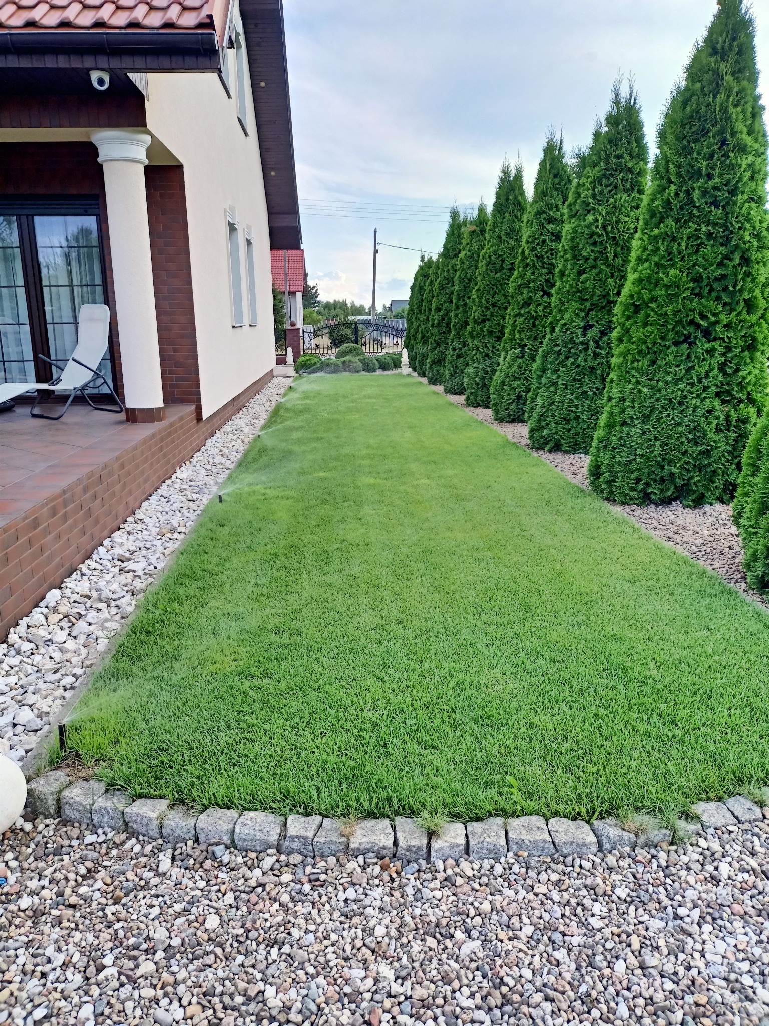 Regularnie koszony trawnik z systemem nawadniania, obrzeżem z kamieni i rzędem wysokich tuj wzdłuż granicy posesji, widok z perspektywy trawnika w stronę domu.