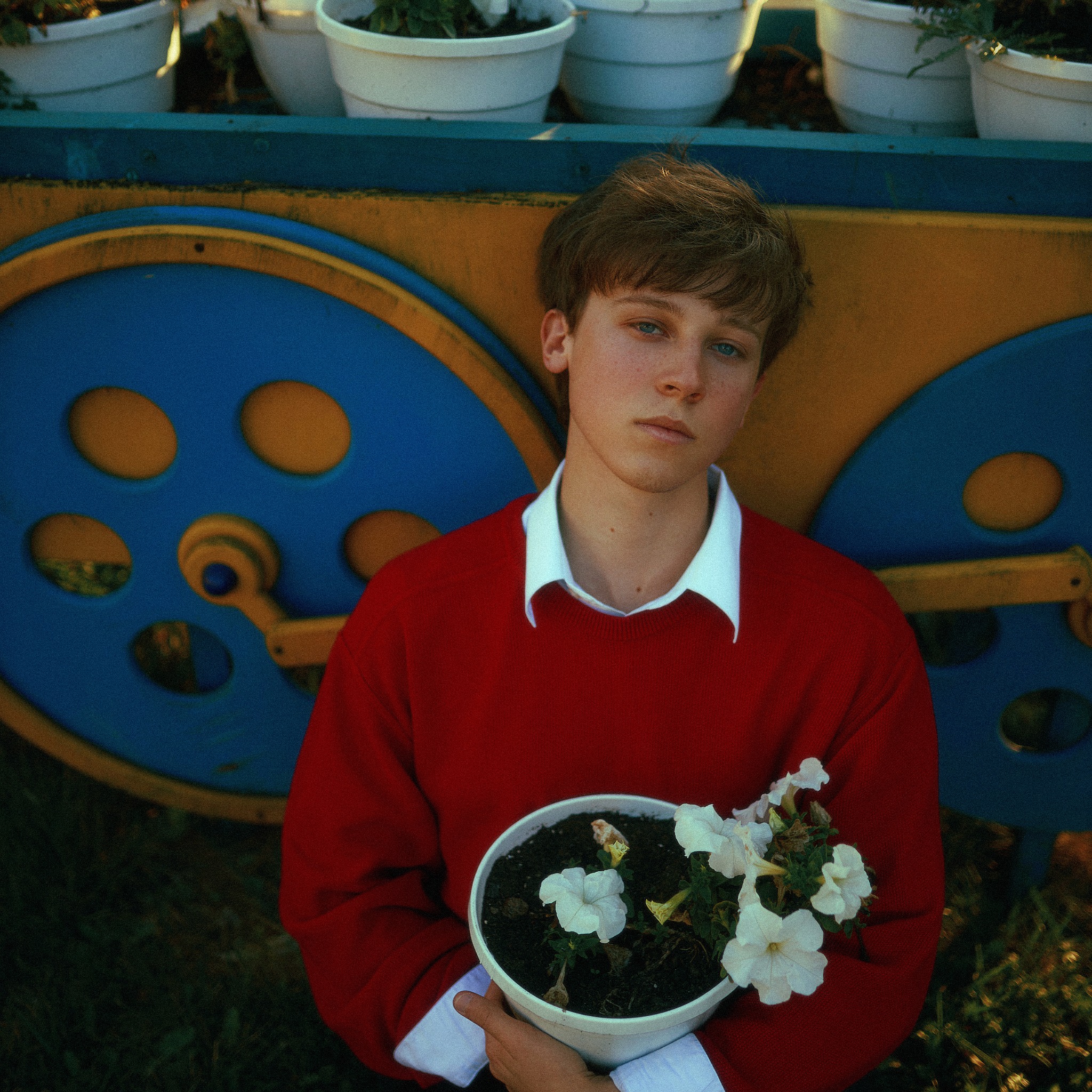 Młody mężczyzna w czerwonym swetrze z kołnierzykiem, trzymający doniczkę z białymi kwiatami na tle niebiesko-żółtej konstrukcji z doniczkami.