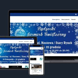 Tworzenie stron internetowych Bydgoszcz 5