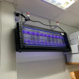 Czarna lampa owadobójcza UV zawieszona na łańcuchach w pomieszczeniu, widoczna instalacja elektryczna i białe kartony na półce w tle.