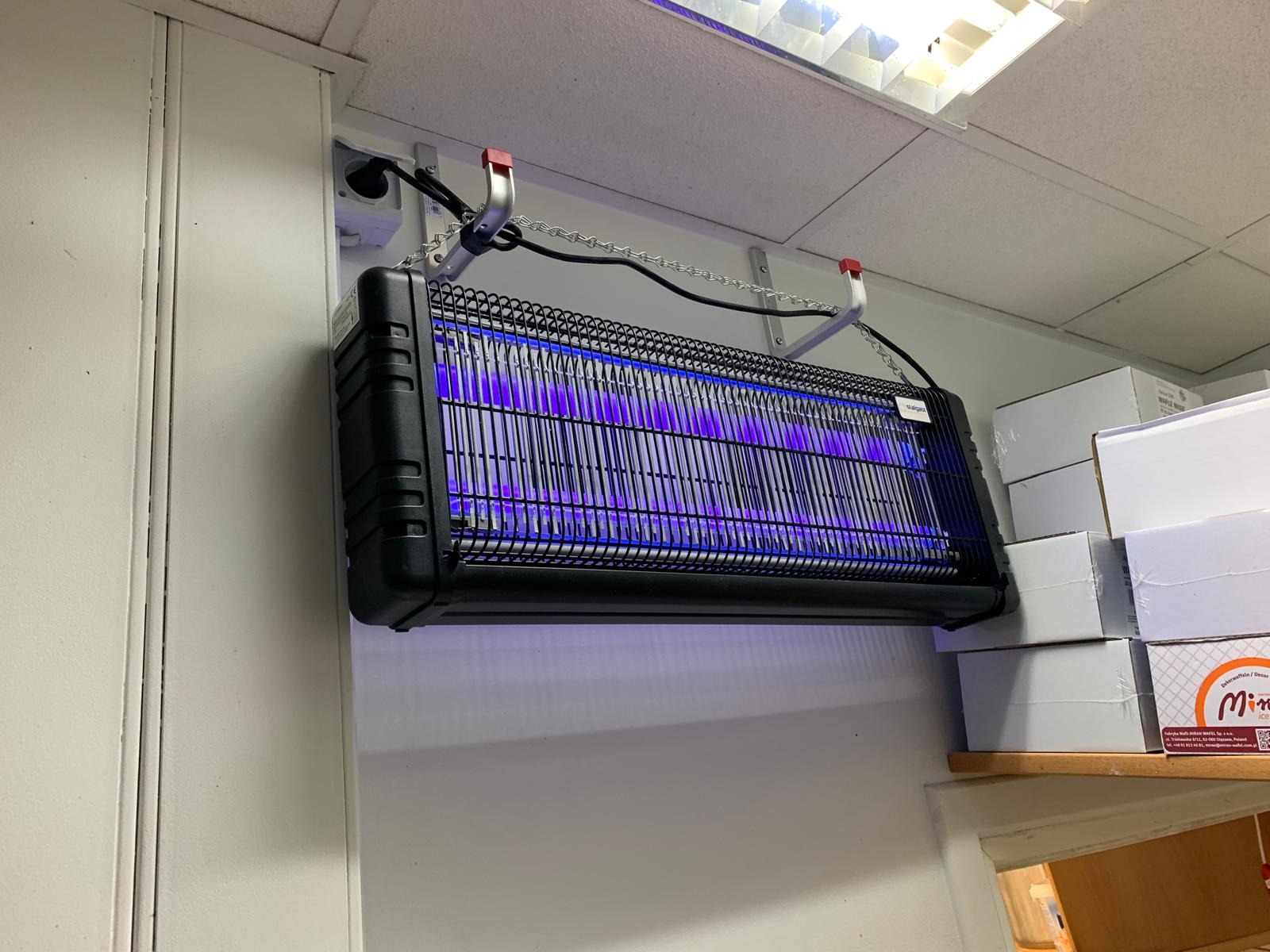 Czarna lampa owadobójcza UV zawieszona na łańcuchach w pomieszczeniu, widoczna instalacja elektryczna i białe kartony na półce w tle.