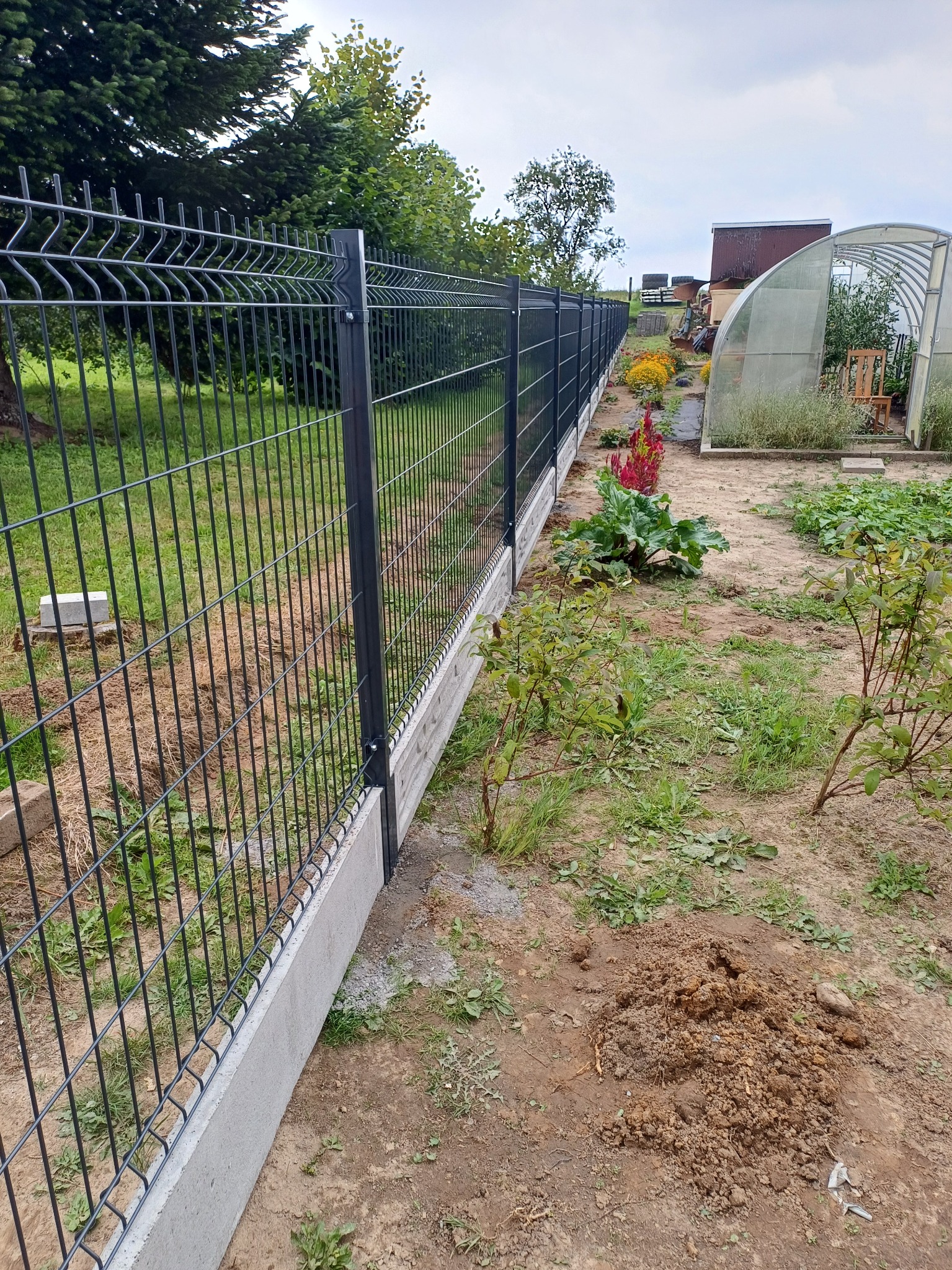 Nowoczesne, metalowe ogrodzenie panelowe w kolorze grafitowym, osadzone na betonowej podmurówce, oddzielające ogródek z warzywami i kwiatami od reszty posesji, widok na szklarnię w tle.