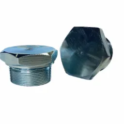 Dwie metalowe zaślepki gwintowane o sześciokątnych główkach, leżące na białym tle, z widocznymi detalami gwintu i obróbki powierzchni.