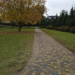 Ścieżka z kostki brukowej w parku, otoczona trawnikami i drzewami, jesienne liście na drzewie w kolorze ż&oacute;łtym.