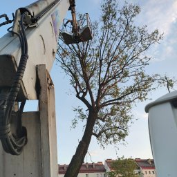 Podnośnik koszowy Oborniki Śląskie 2