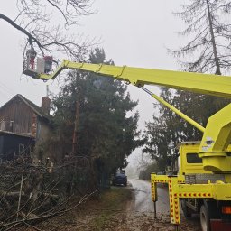 Wycinka drzew u klienta