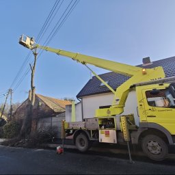 Mateusz Beśka Przedsiębiorstwo Handlowo-Usługowe EL-MAT - Żółty podnośnik koszowy TKA 28 przy ogołoconym drzewie, z pracownikiem w koszu na tle błękitnego nieba i zabudowań. Ścięte gałęzie leżą na ziemi.