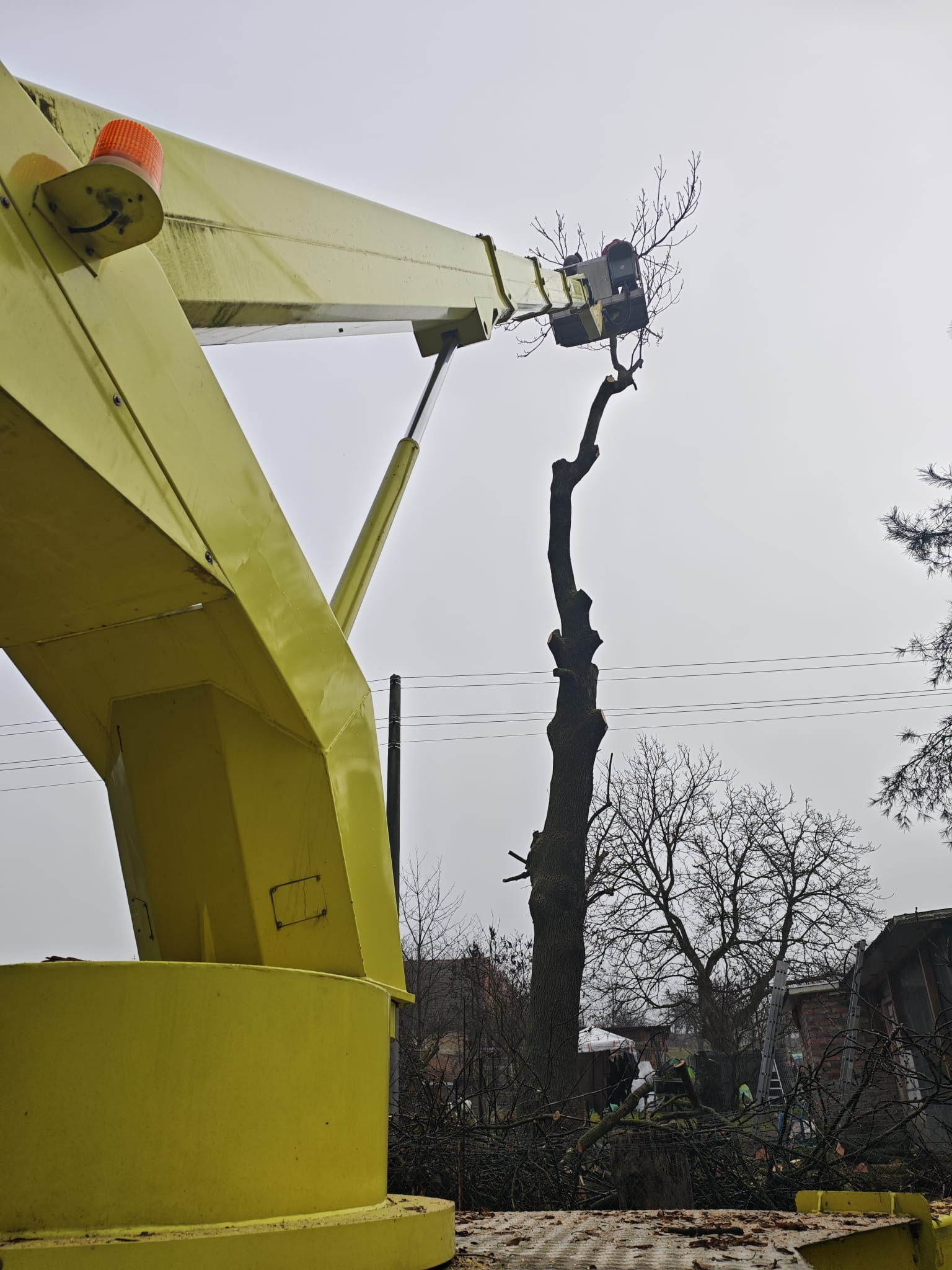 Wycinka drzew u klienta