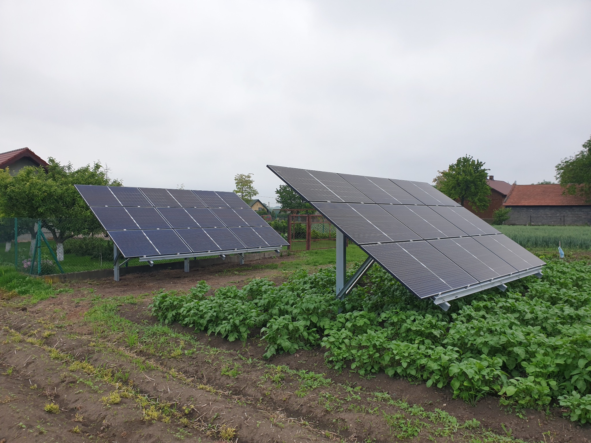 Dwa panele słoneczne ustawione na polu uprawnym, z widocznymi rzędami sadzonek i budynkami w tle pod pochmurnym niebem.