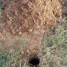 Otwór wiertniczy o średnicy 8 cm wykonany w piasku. 