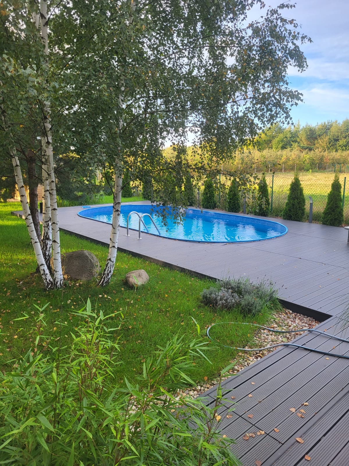 Owalny basen z błękitną wodą otoczony szarą deską kompozytową, widok z poziomu trawnika z młodymi brzozami i kamieniami dekoracyjnymi, w tle zielony ogród.