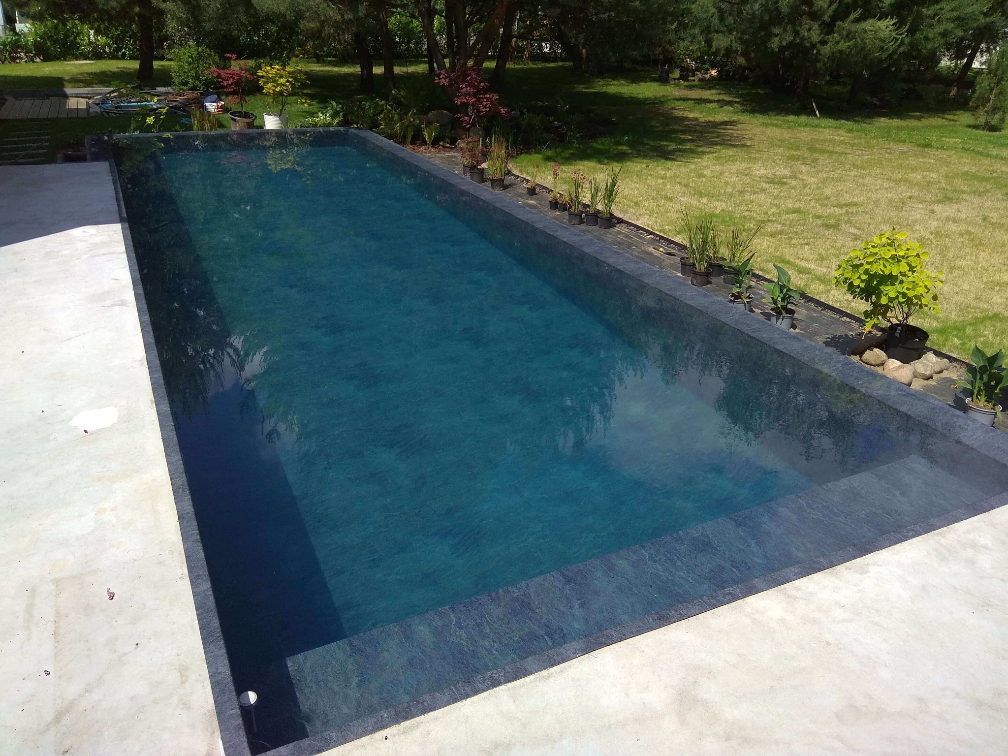 Prostokątny zbiornik wodny z ciemnym wykończeniem, otoczony betonową powierzchnią i roślinami w doniczkach, na tle zielonego trawnika i drzew.