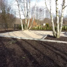 Przygotowany teren pod trawnik z obrzeżami z kostki betonowej wokół pni brzóz, świeżo nawieziona ziemia, w tle widoczny płot i drzewa.