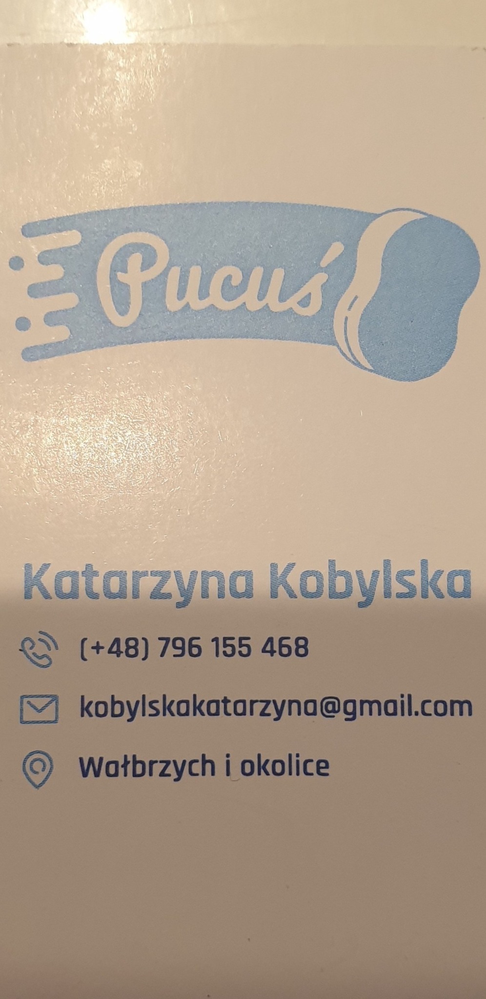 Wizytówka firmy sprzątającej 'Pucuś' Katarzyny Kobylskiej z Wałbrzycha, zawierająca logo z motywem czystości, numer telefonu i adres e-mail.
