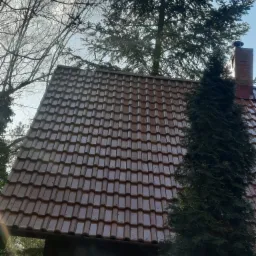 Czerwona dachówka ceramiczna na skośnym dachu domu, przysłonięta częściowo przez wysoką, zieloną tuję, z kominem z cegły w tle, widziana z dołu w słoneczny dzień.