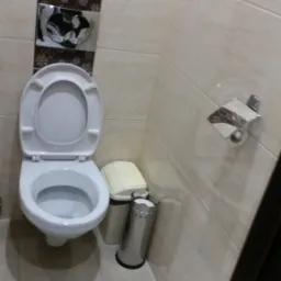 Toaleta z otwartą klapą, obok kosze na śmieci i uchwyt na papier toaletowy na tle beżowych płytek z dekoracyjnym pasem z motywem kwiatowym.