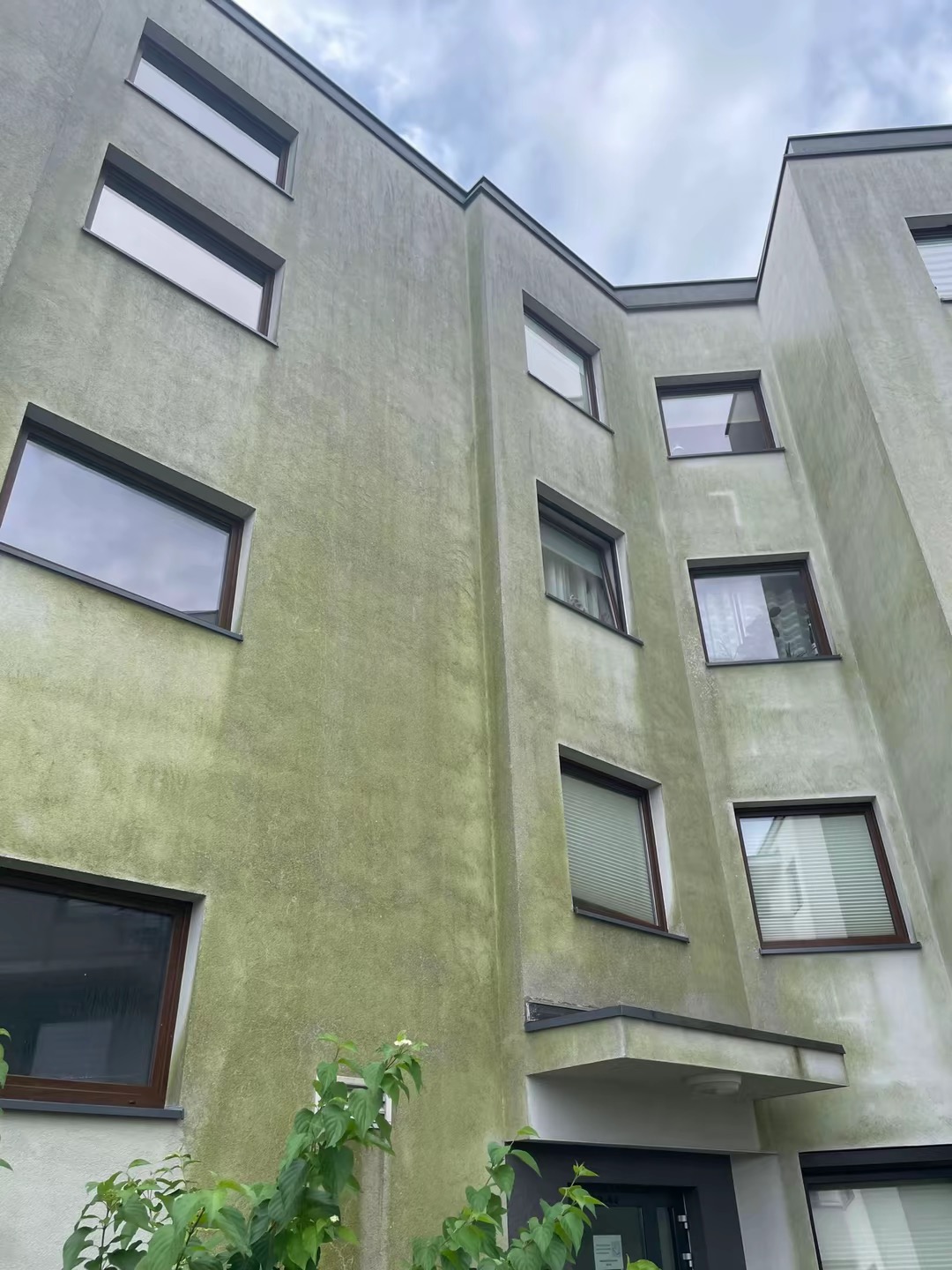 Wielopiętrowy budynek z widocznym zabrudzeniem i zielonym nalotem na elewacji, sfotografowany pod kątem z dołu, z roślinnością w dolnej części kadru.