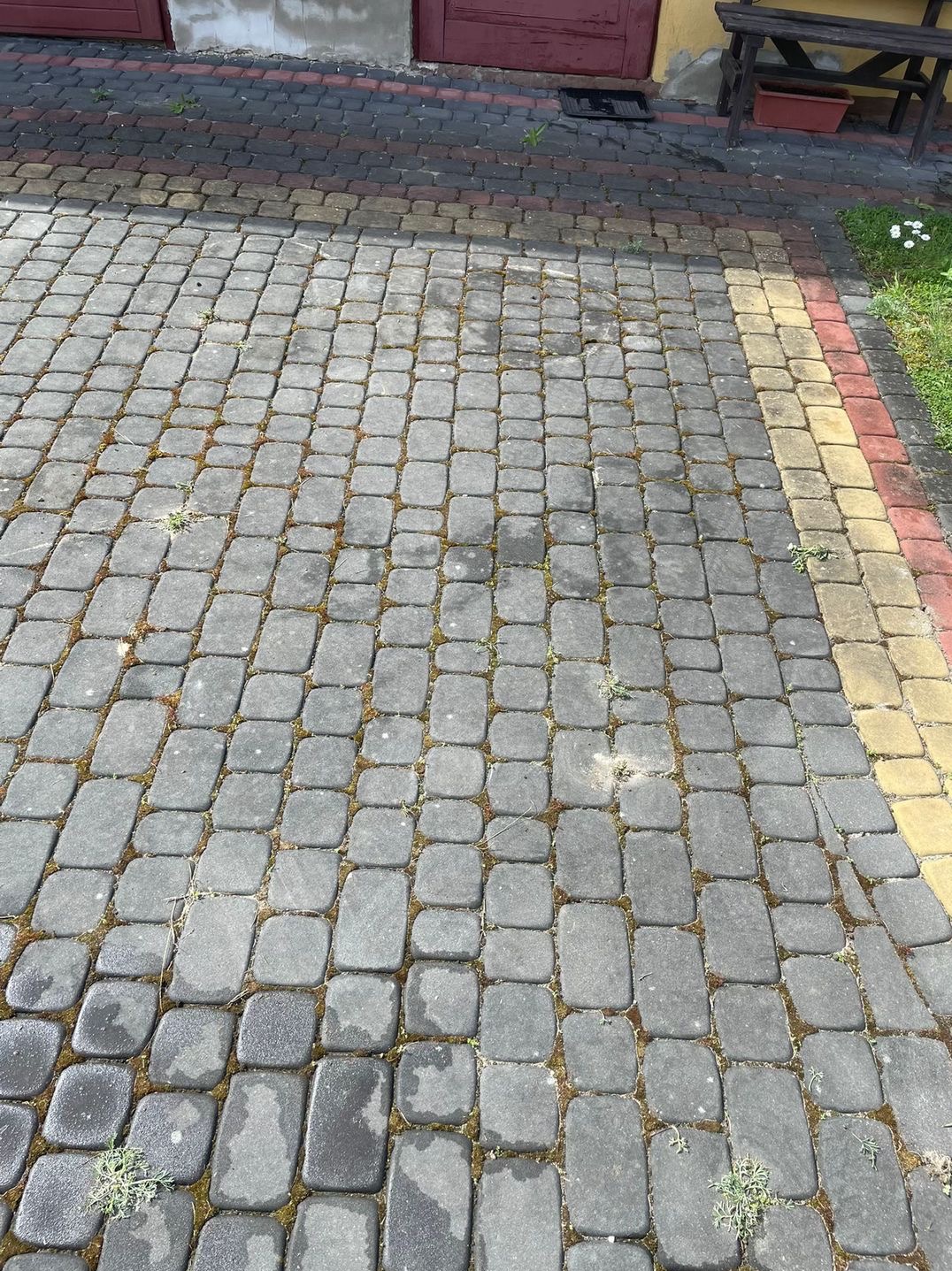 Szara kostka brukowa z porostami w szczelinach, częściowo mokra, obok kolorowa obrzeże i trawa, w tle fragment budynku z ławką.