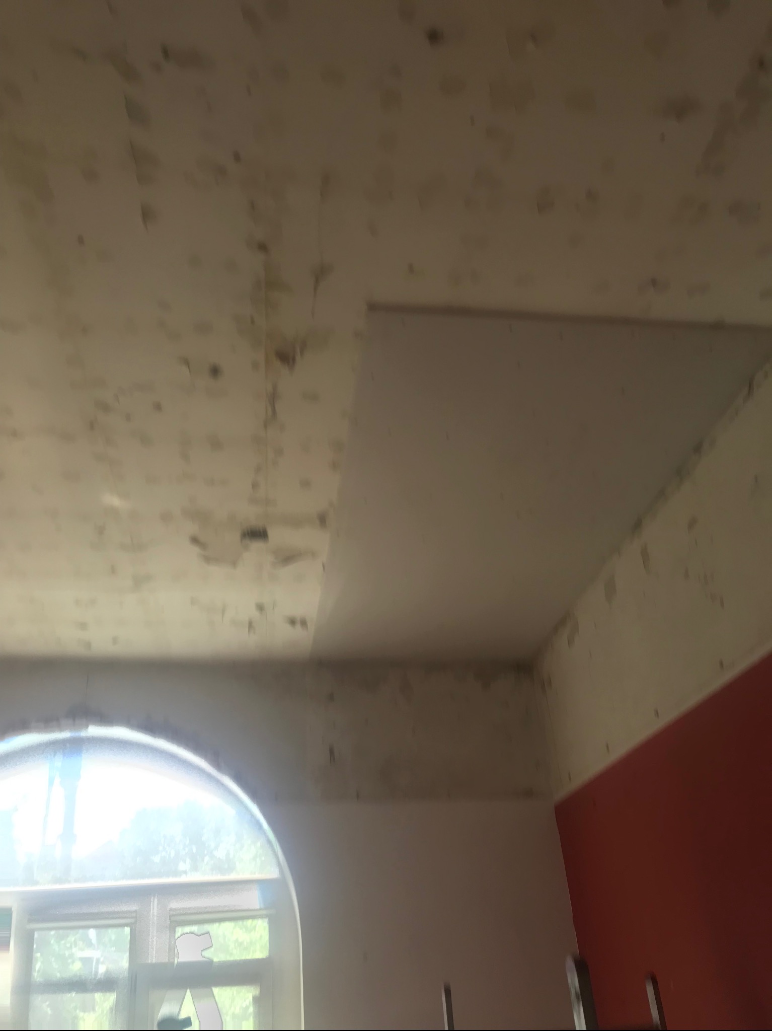 Remont Gdańsk ul. Wiosny Ludów