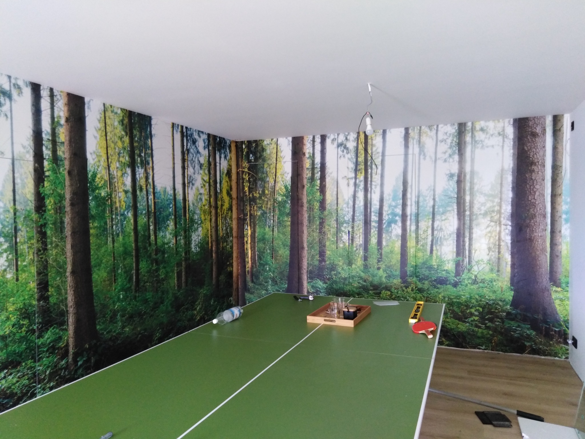 Pokój z fototapetą przedstawiającą las, na pierwszym planie stół do ping-ponga z butelką wody i naczyniami.