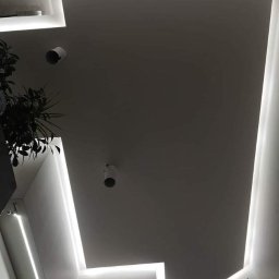 Lux-bud - Nowoczesny sufit z oświetleniem LED wzdłuż krawędzi, tworzący geometryczny wzór, z widocznymi dwoma punktowymi lampami i fragmentem rośliny doniczkowej w rogu.