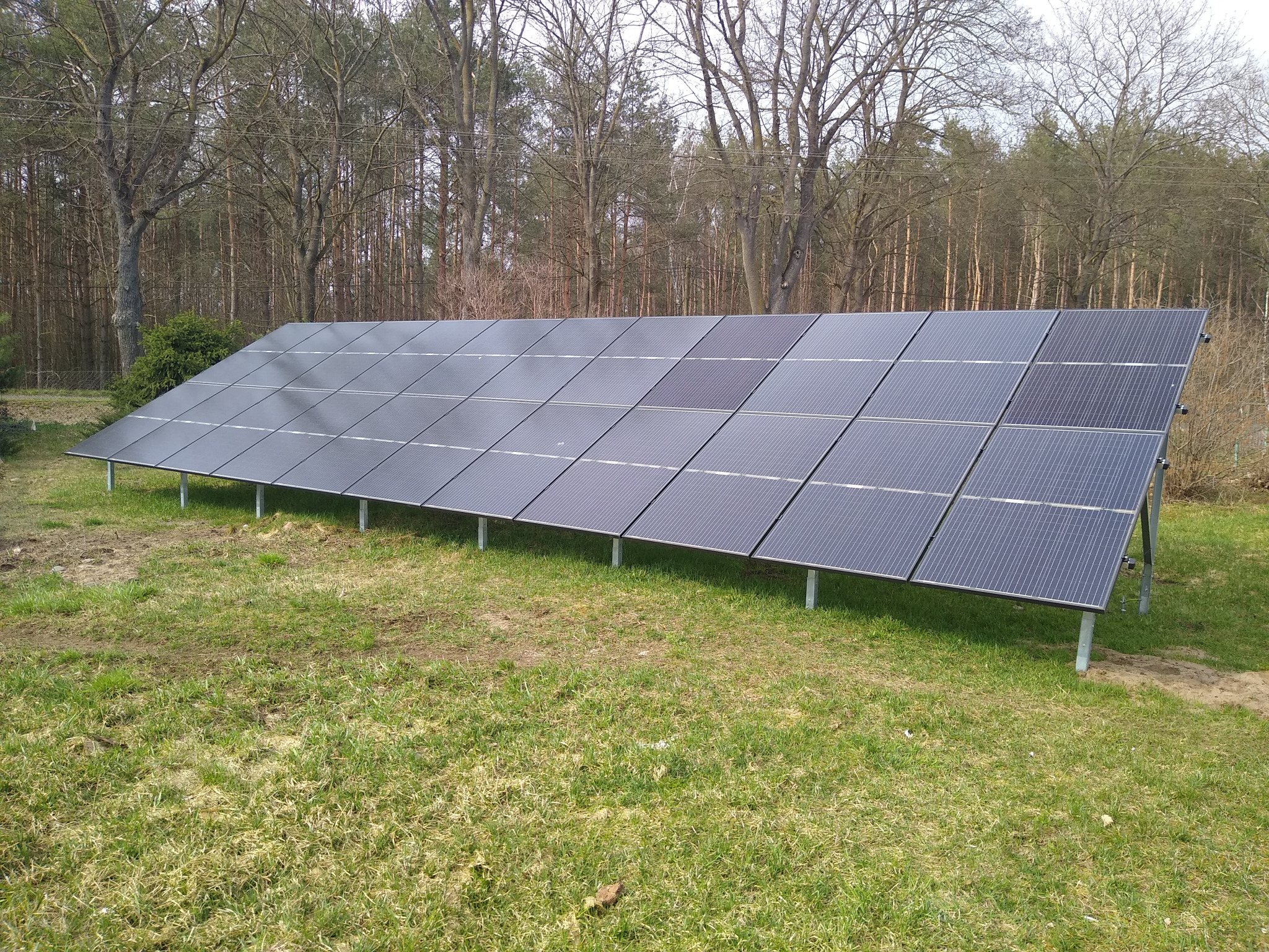 Rząd paneli słonecznych ustawionych na metalowych wspornikach na trawiastym terenie, z lasem w tle.