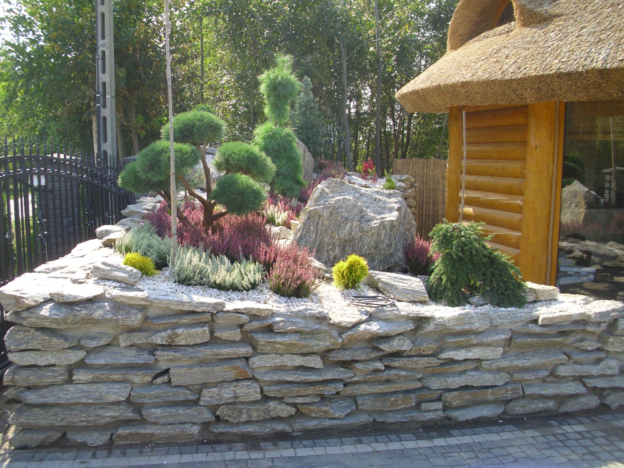 Ogród skalny z ozdobnymi drzewami i krzewami, otoczony murem z łupka, z drewnianą altaną krytą strzechą w tle.