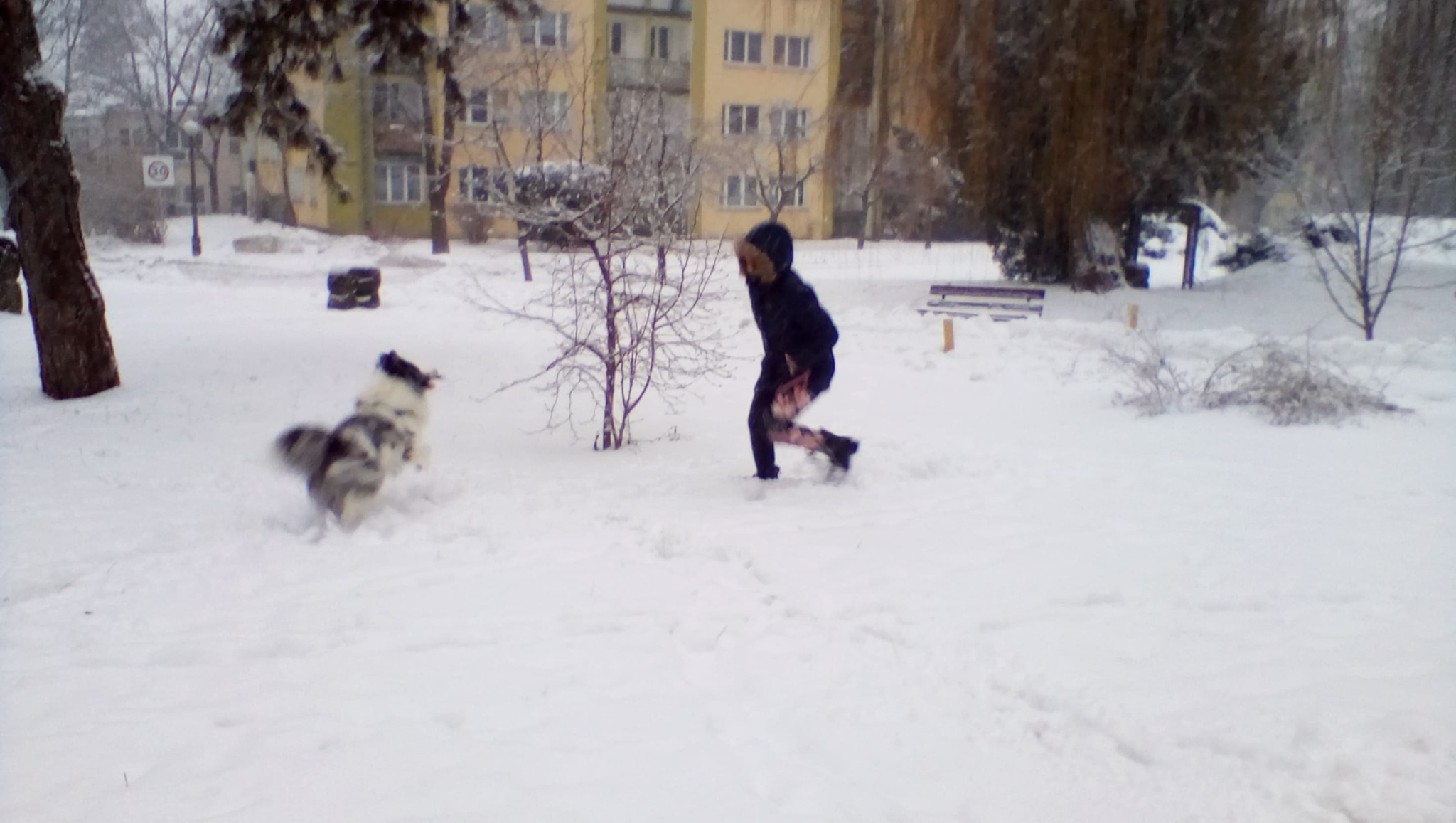 Ja podczas spaceru z Shadow'em :)