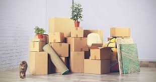 Stos kartonowych pudeł, zwinięty dywan, dwa kwiaty doniczkowe i obraz oparty o ścianę, przygotowane do przeprowadzki. W lewym dolnym rogu przechadza się kot.