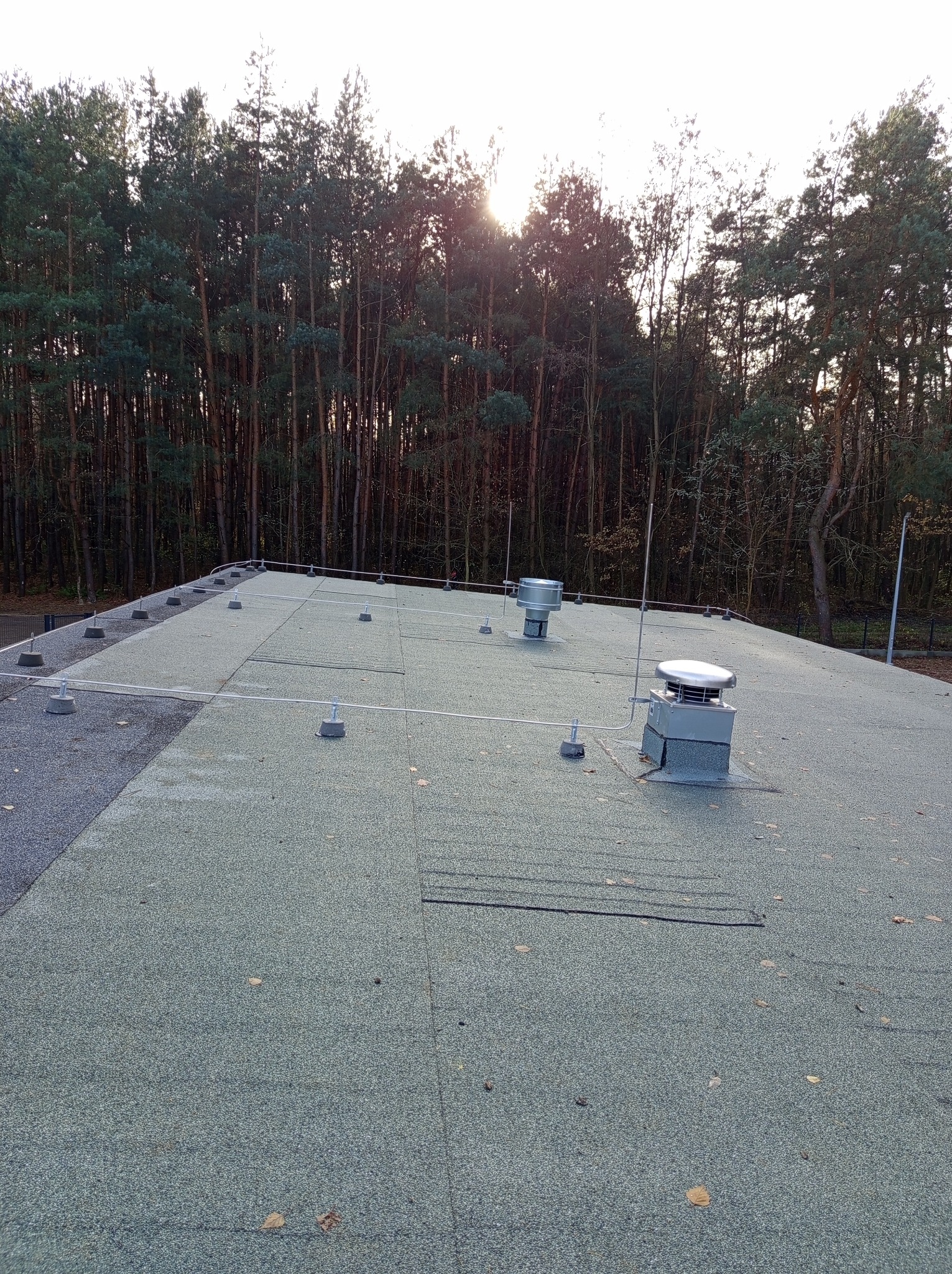 Płaski dach budynku z widoczną instalacją odgromową, w tle las iglasty i zachodzące słońce.