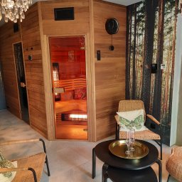 sauna infrared i fińska