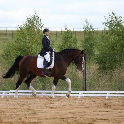 Stadniny i jazda konna Chraboły 3