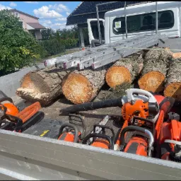 Kilkukrotnie używane piły łańcuchowe, dmuchawa do liści, kask ochronny i drabina w skrzyni ładunkowej białego samochodu dostawczego, obok leżą trzy pnie drzew z widocznymi słojami.