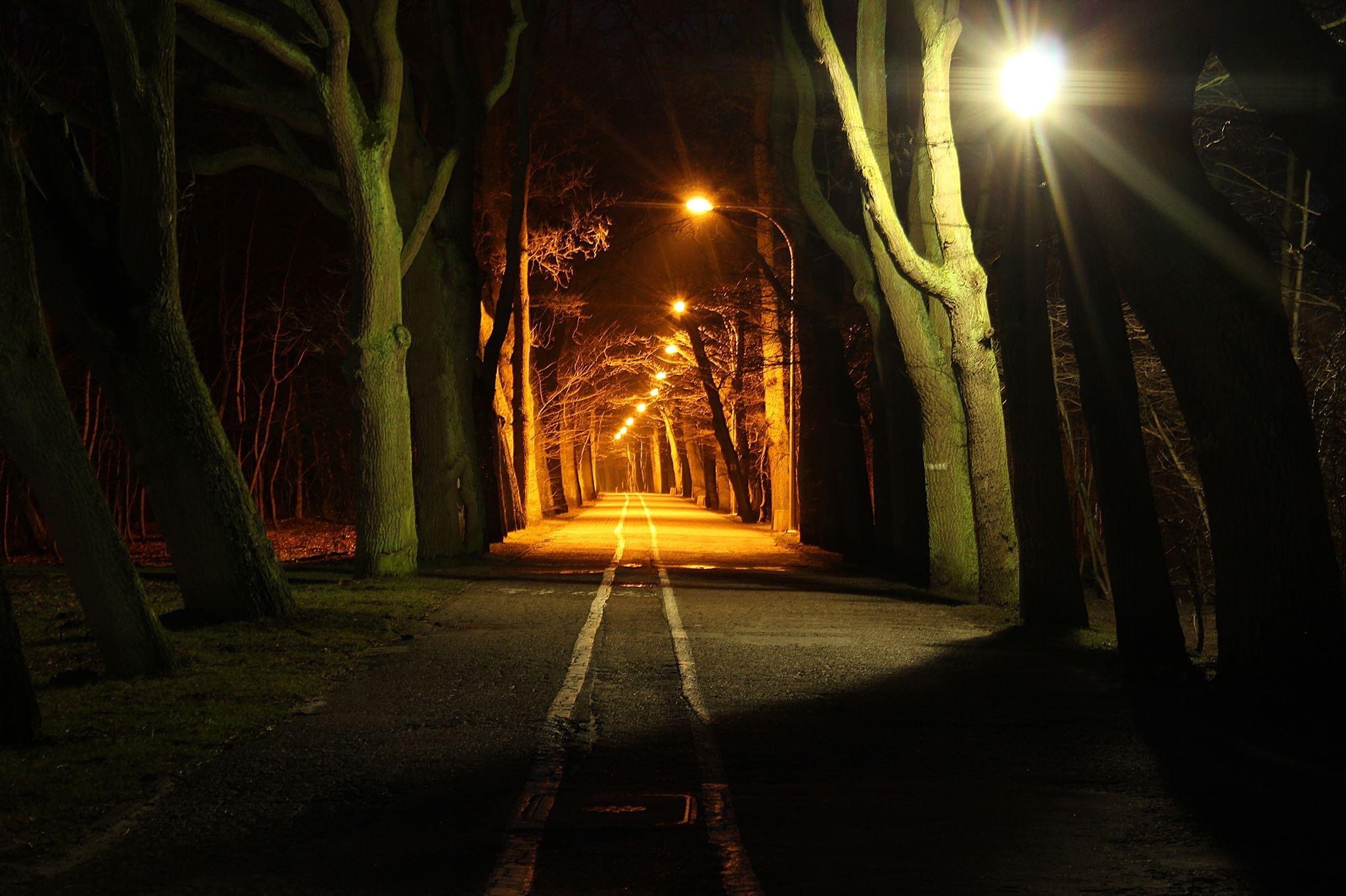 Aleja oświetlona latarniami nocą, drzewa po obu stronach drogi, perspektywa zbieżna w oddali.