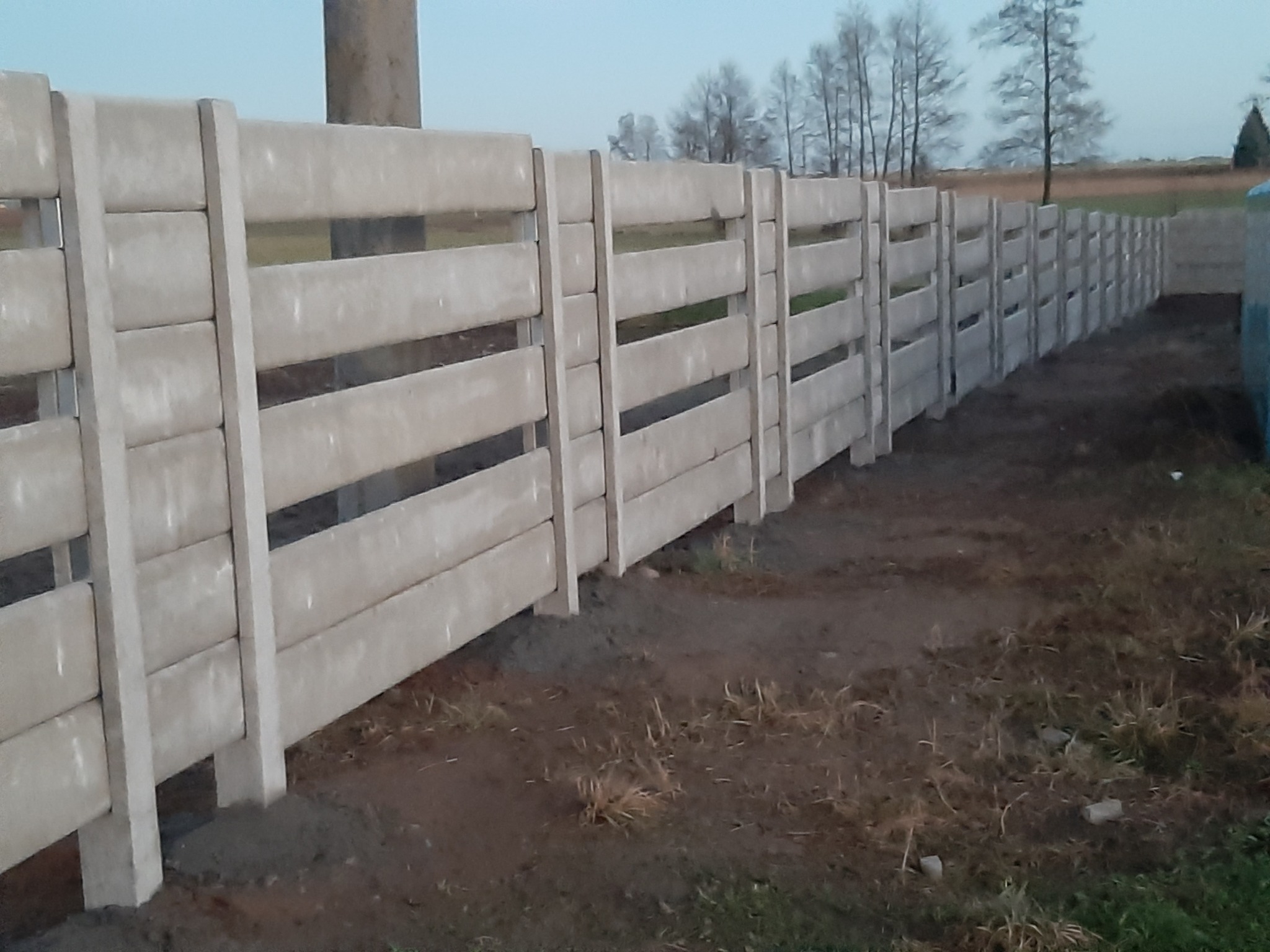Długi, betonowy płot panelowy z poziomymi szczelinami, ustawiony na nierównym, ziemistym terenie. Słupki częściowo zagłębione w ziemi. W tle widoczne drzewa bez liści i pole.