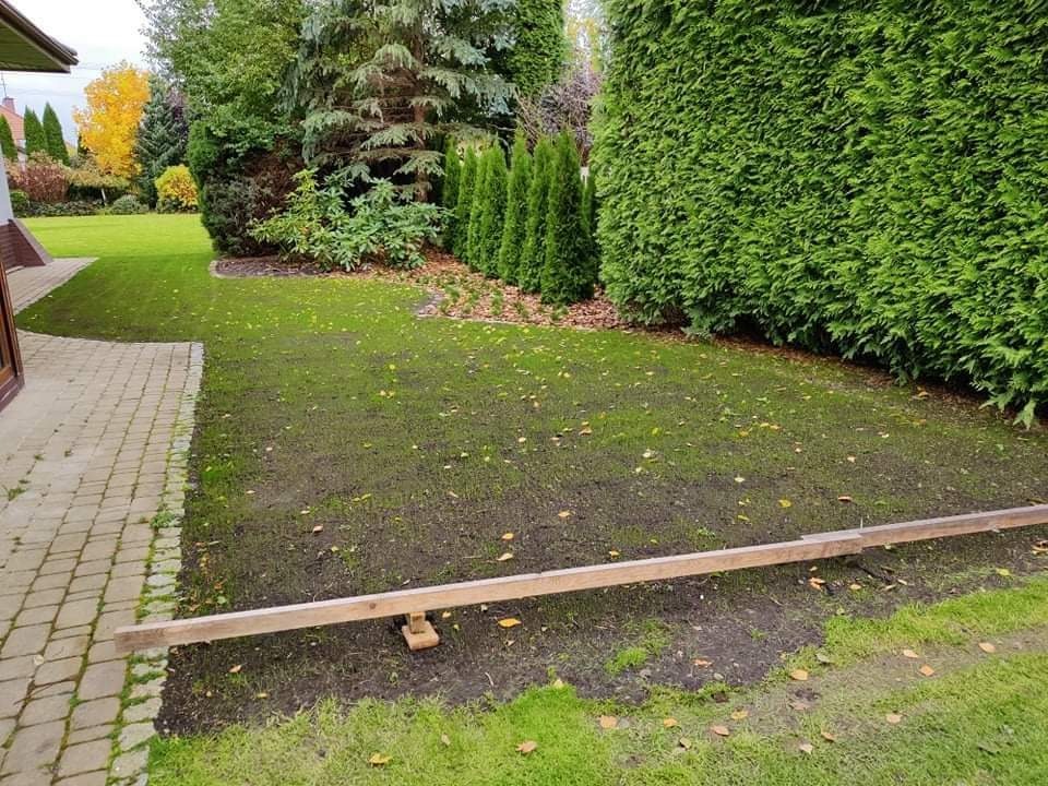 Świeżo zasiana trawa na działce z widocznymi deskami do wyrównywania, w tle zadbany żywopłot i drzewa