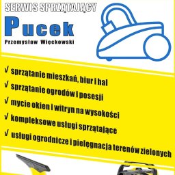 Pucek - Spacery z Psem Częstochowa