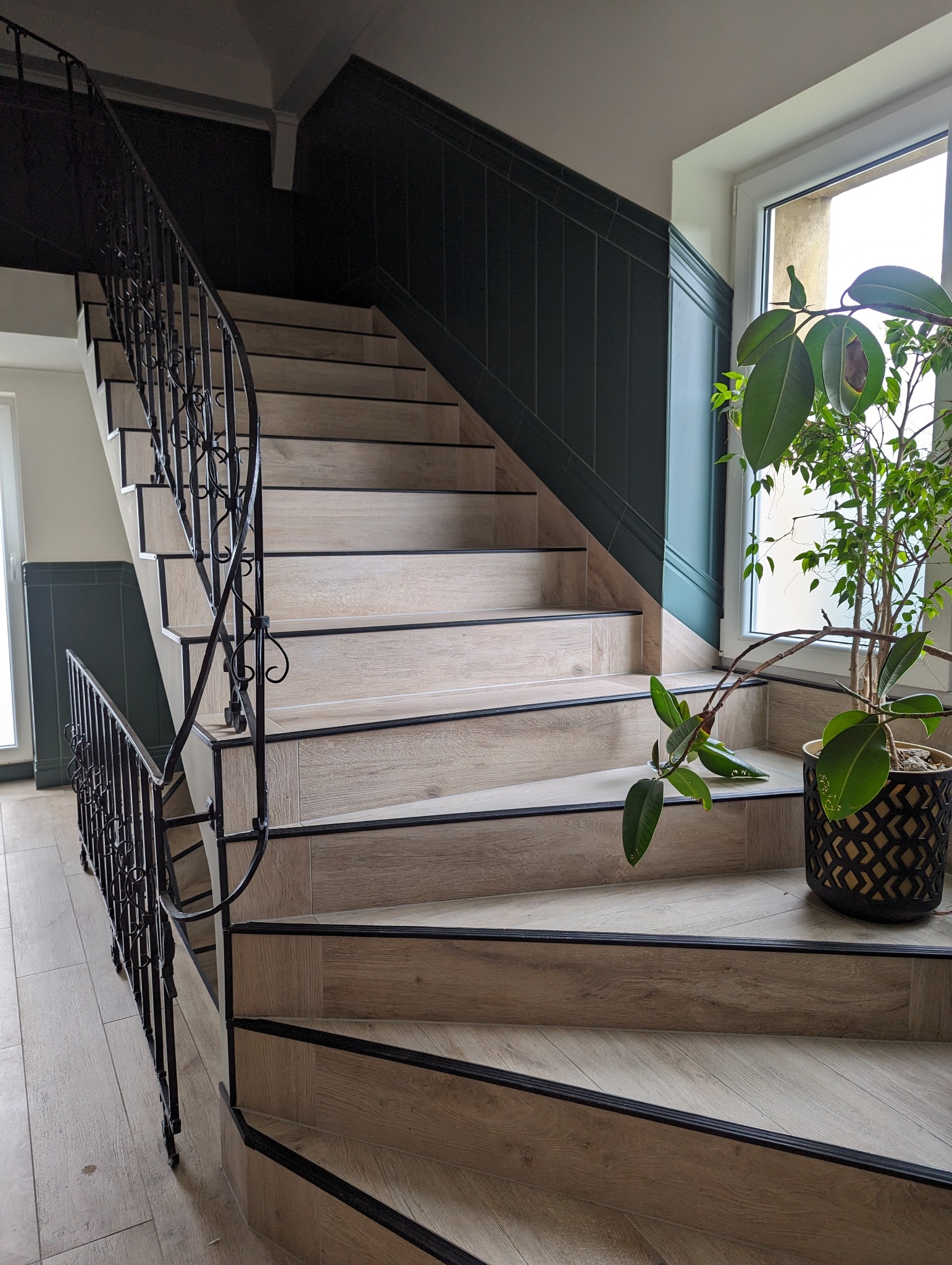 Schody wyłożone panelami imitującymi drewno z czarnymi listwami, dekoracyjna metalowa balustrada, ściana w ciemnej zieleni, donica z rośliną przy oknie.
