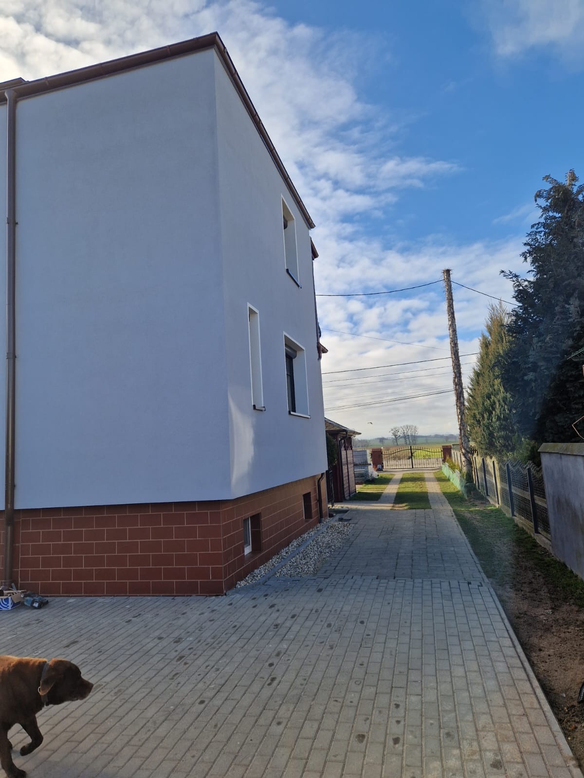 Dwupiętrowy dom z jasnoszarą elewacją i czerwoną cegłą na fundamencie, widoczny z boku, z brukowanym podjazdem i psem w rogu kadru, na tle błękitnego nieba z chmurami.