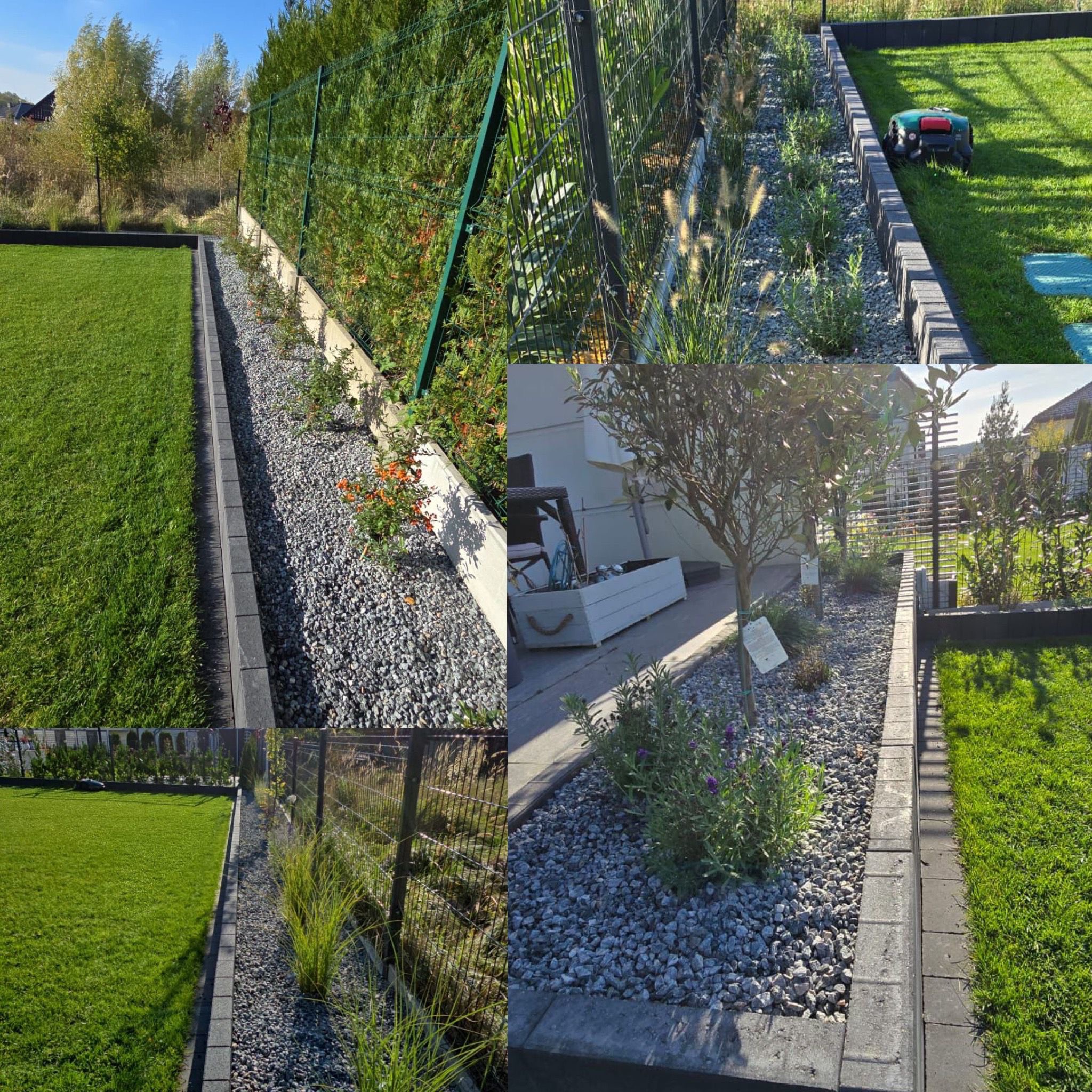 Kompozycja ogrodu z równo przystrzyżonym trawnikiem, obrzeżem z szarej kostki, rabatą wysypaną szarym kamieniem, różnorodną roślinnością ozdobną i robotem koszącym w tle.