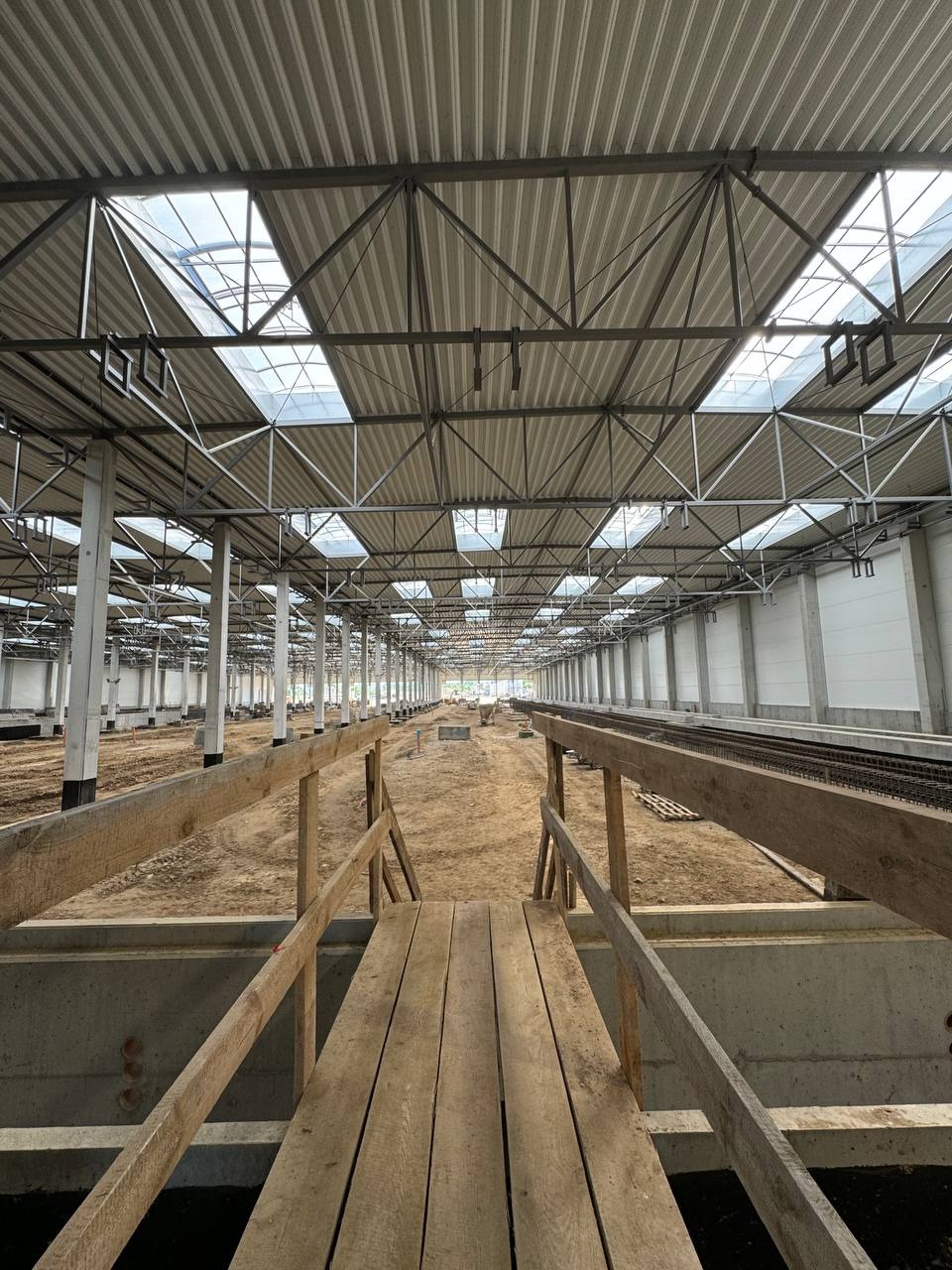 Wnętrze hali przemysłowej w trakcie budowy, widok z drewnianego podestu na plac z ziemią, w tle rzędy kolumn i konstrukcja dachu z oknami dachowymi.